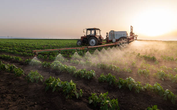 Best Pest Removal Services  in La Joya, TX
