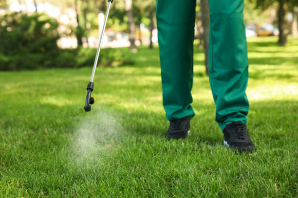 Best Affordable Pest Control Services  in La Joya, TX