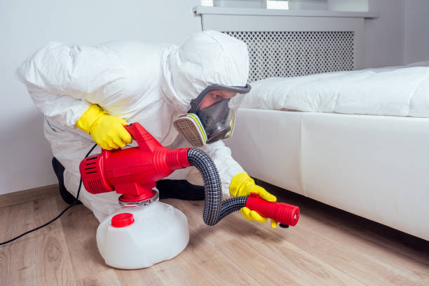 Best Pest Inspection Near Me  in La Joya, TX