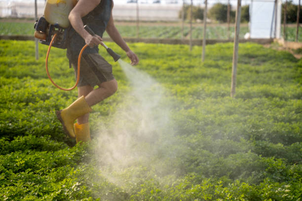 Best Pest Control Cost  in La Joya, TX