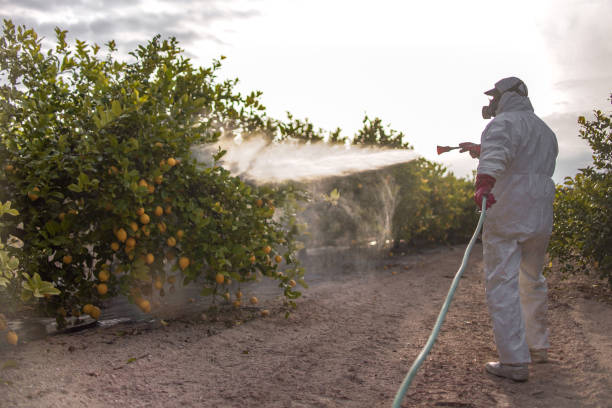 Best Exterminator Services  in La Joya, TX