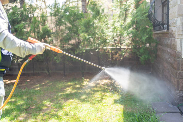 Best Pest Prevention Services  in La Joya, TX