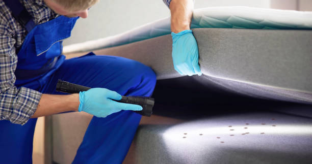 Reliable La Joya, TX Pest Control Solutions