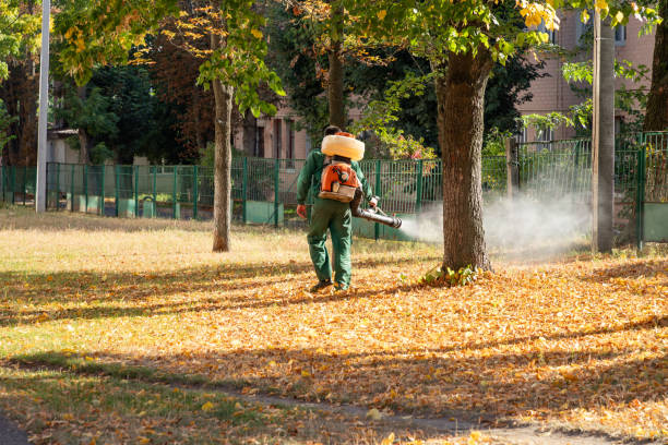 Best Pest Control for Businesses  in La Joya, TX