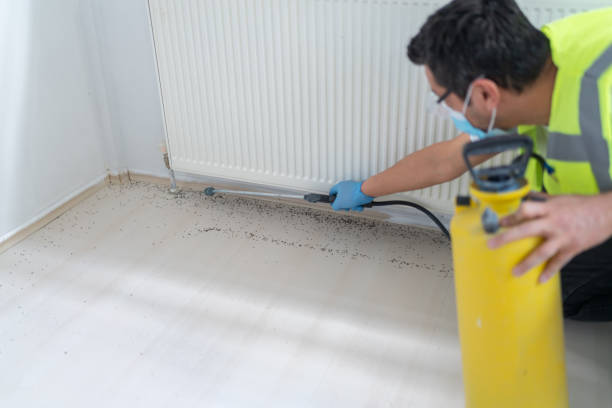 Best Best Pest Control Companies  in La Joya, TX