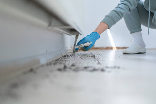 Pest Control Cost in La Joya, TX